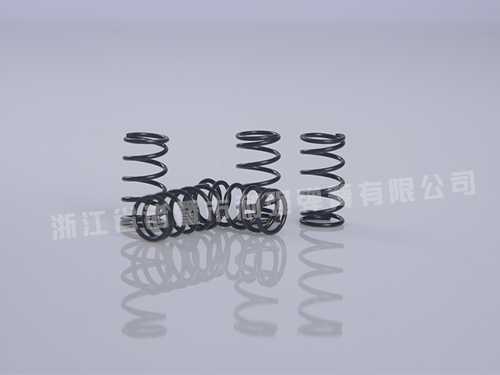 山东精密小弹簧